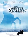 The Winter Stallion@